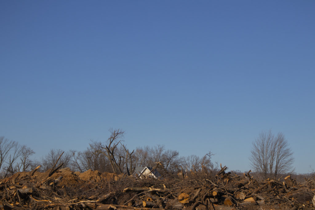 In Time Check, piles of tree debris and logs reach so high that a rooftop on a street beyond them barely peeks out.