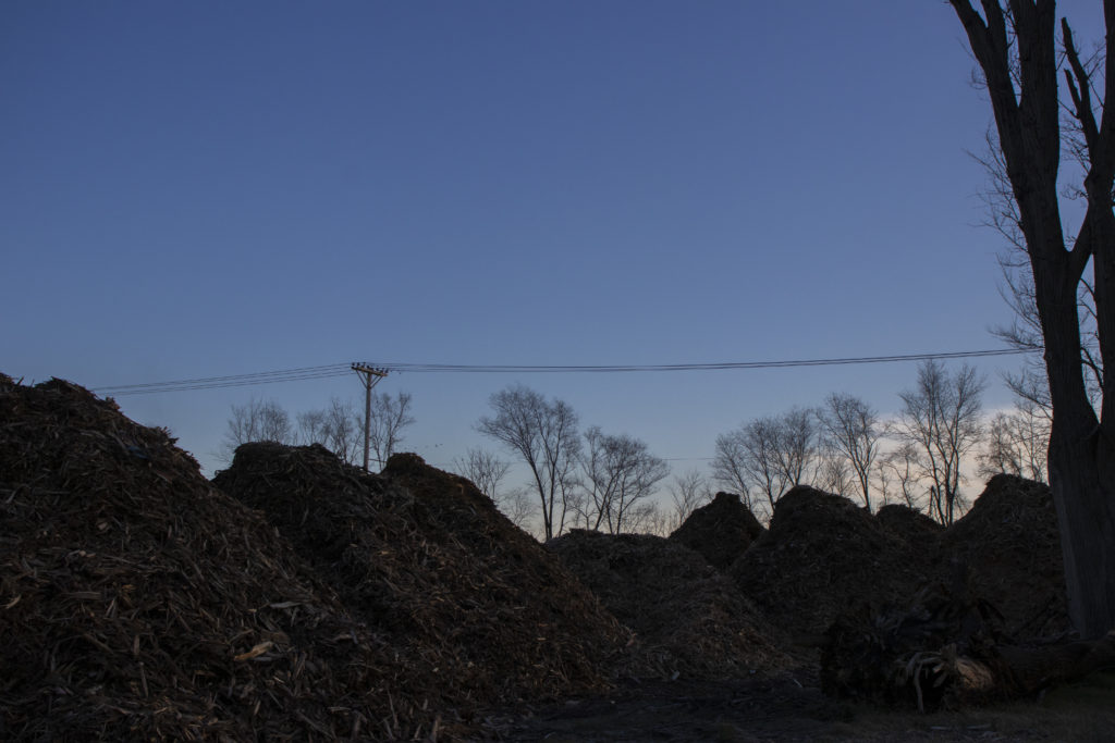 piles of mulch in partial silhouette in the dim morning light with the sun coming up behind them. Electrical poles stand in the background.