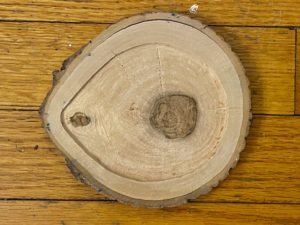 log slice with a similar shape to an eyeball and dark brown heartwood off center, as well as a smaller area of darker brown wood near the outer edge. It has been dremeled to sand down the center portion so that there is a ledge around the perimeter to frame where the wax will be poured (and we are planning to dremel it a bit deeper)