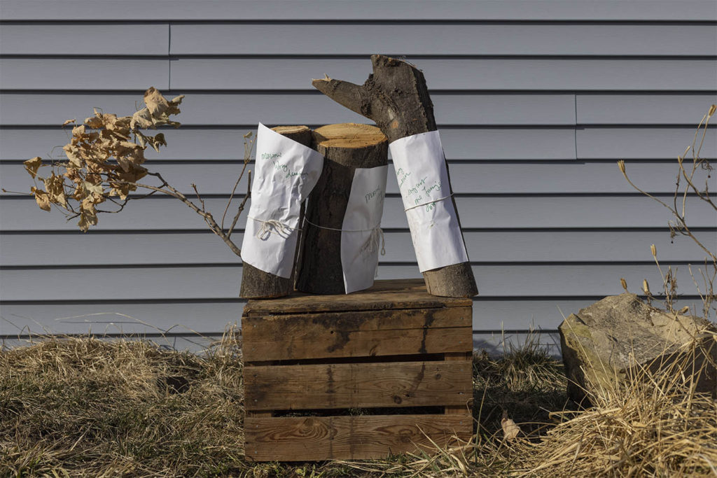 three logs, one with a small branch with dead leaves, standing on an apple crate in front of a building with blue-gray siding. The logs have paper wrapped around them with labels that say Masonic Library