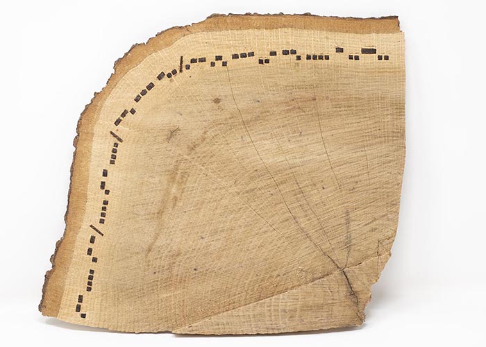 a square-shaped log slice with a rounded left corner and morse code burned into the outermost ring along the edge, reading ".-- .... .- - / .... .- - .... / --. --- -.. / .-- .-. --- ..- --. .... - ..--.."
